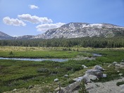Yosemite National Park