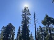 Yosemite National Park 