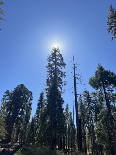Yosemite National Park 