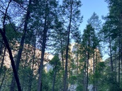 Yosemite National Park 