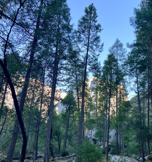 Yosemite National Park 
