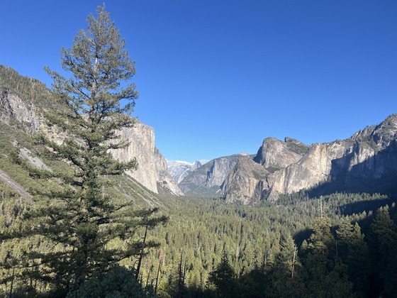 Yosemite National Park 