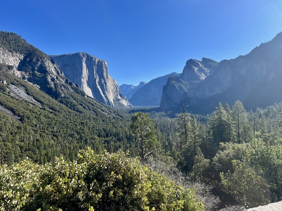 Yosemite National Park 