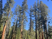 Yosemite National Park 