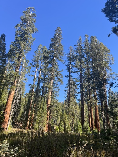 Yosemite National Park 