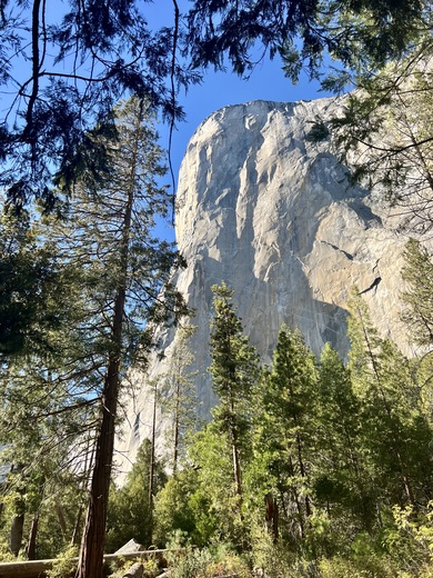 Yosemite National Park 
