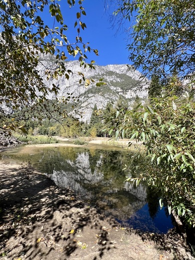 Yosemite National Park 