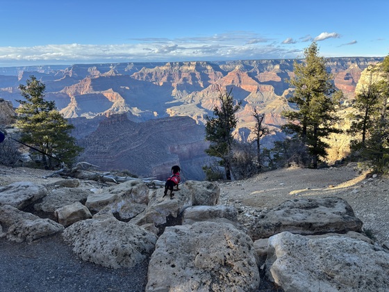 Grand Canyon National Park