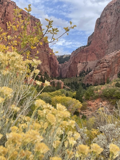 Zion National Park