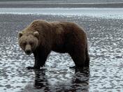 Lake Clark National Park