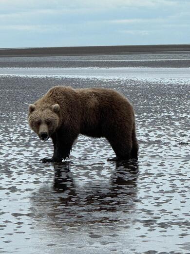 Lake Clark National Park