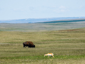Badlands National Park 