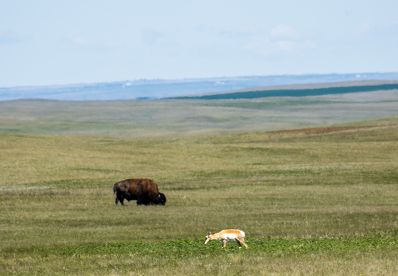 Badlands National Park 