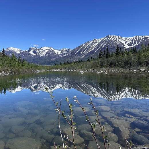 Wrangell-St Elias National Park & Preserve