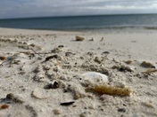 Gulf Islands National Seashore 