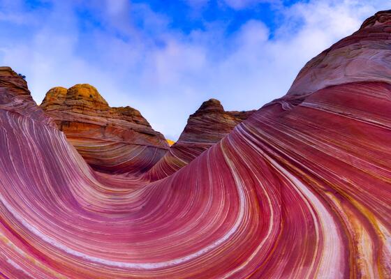 Coyote Buttes North (The Wave)
