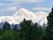 Denali National Park