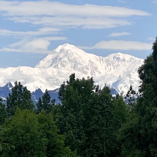 Denali National Park