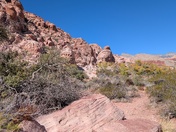 Red Rock Canyon National Conservation Area