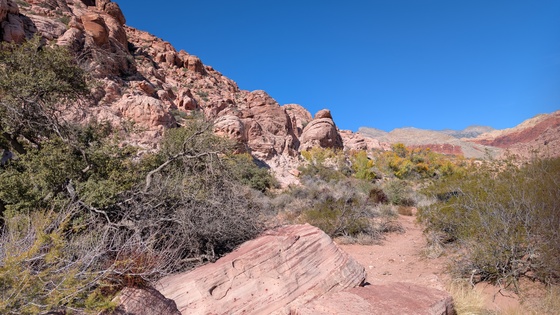 Red Rock Canyon National Conservation Area