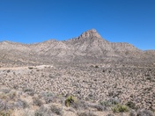 Red Rock Canyon National Conservation Area
