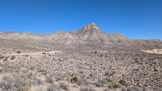 Red Rock Canyon National Conservation Area