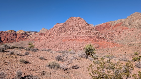 Red Rock Canyon National Conservation Area