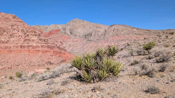 Red Rock Canyon National Conservation Area