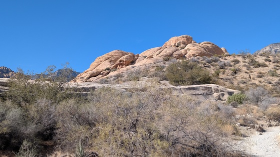 Red Rock Canyon National Conservation Area