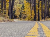 Yosemite National Park