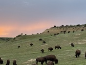 Theodore Roosevelt National Park