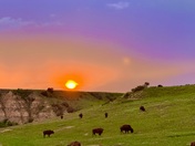 Theodore Roosevelt National Park
