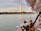 National Mall and Memorial Parks
