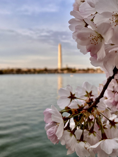 National Mall and Memorial Parks