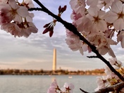 National Mall and Memorial Parks