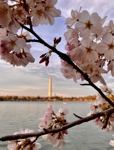 National Mall and Memorial Parks