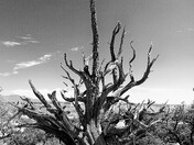 Arches National Park