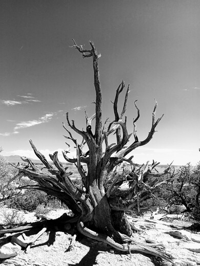 Arches National Park