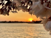 National Mall and Memorial Parks