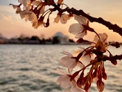 National Mall and Memorial Parks