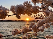 National Mall and Memorial Parks