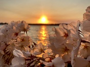 National Mall and Memorial Parks