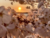 National Mall and Memorial Parks