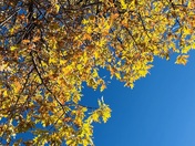 Grand Canyon National Park