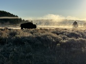 Yellowstone National Park
