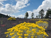 Sunset Crater