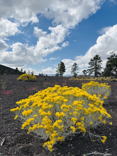 Sunset Crater