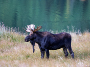 Rocky Mountain National Park 