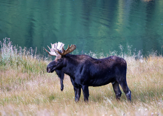 Rocky Mountain National Park 
