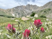 Arapaho National Forest